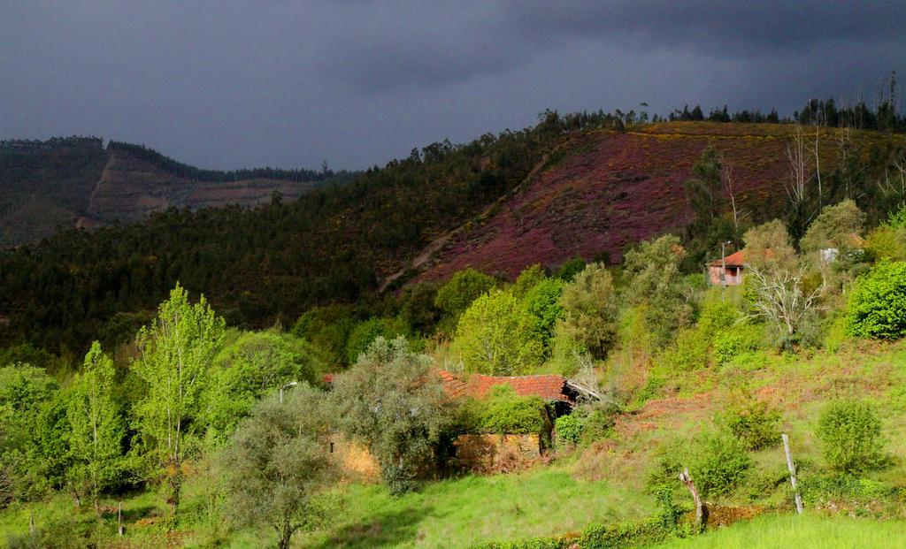Quinta De Gildinho Villa Екстериор снимка